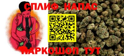 гидропоника Краснокаменск