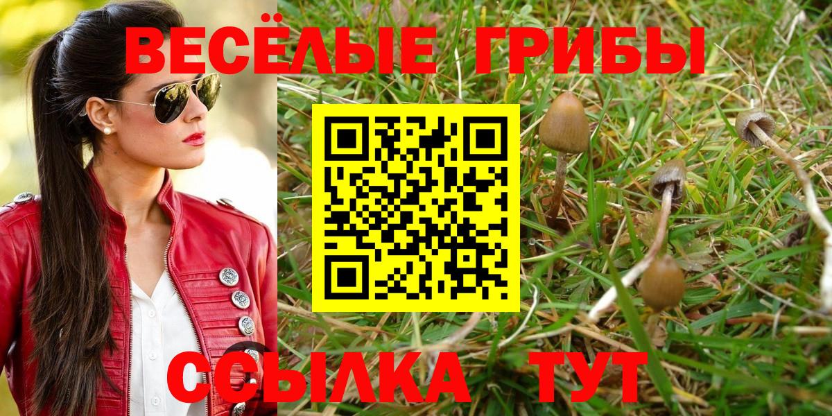 Галлюциногенные грибы MAGIC MUSHROOMS  Вход с VPN  Галлюциногенные грибы Psilocybine cubensis  Глазов 
